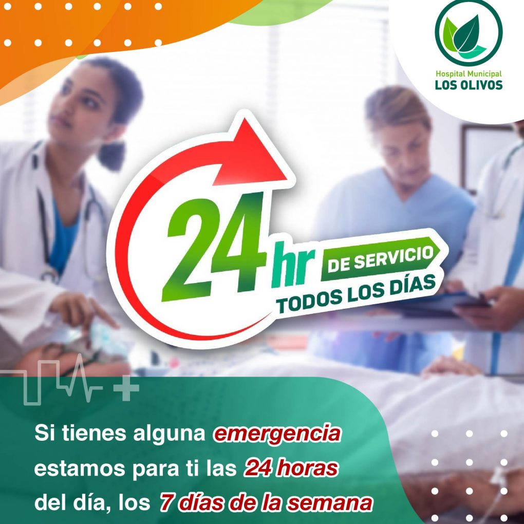 24 horas